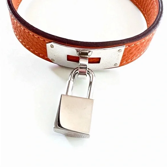 Hermes Orange Pet Collar and Leash Set - Picture 7 of 16